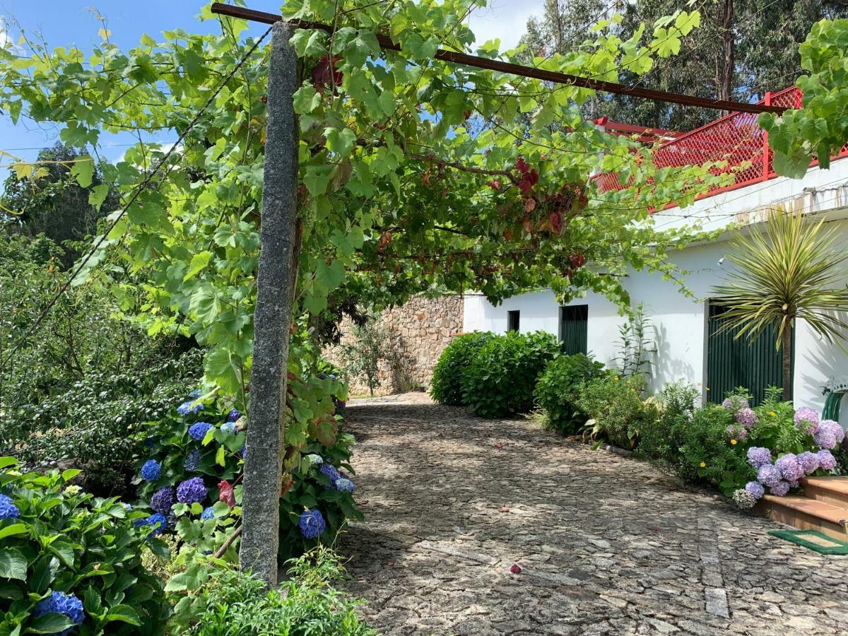 Vila Aurora Parada de Gatim Exterior photo